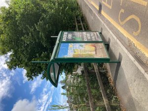 Totnes Advertising Shelter 505 Panel 1 A381 WESTERN BYPASS adjacent traffic lights (Outbound)